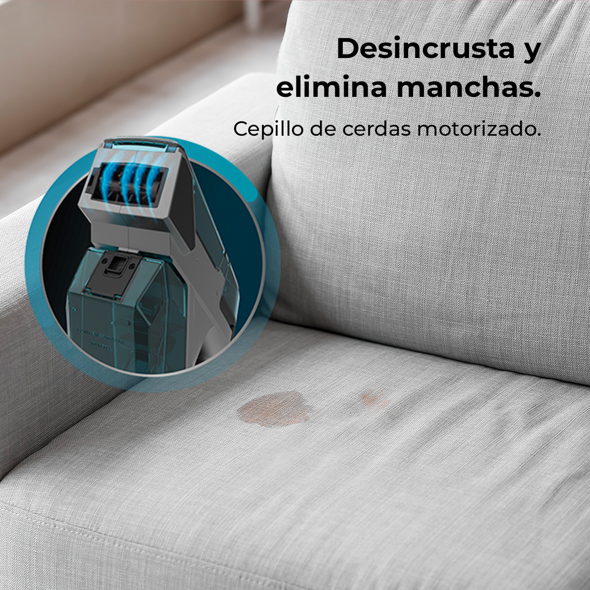 Conga MotorHand Carpet&Spot Clean 2000 | Envío gratis y mejor precio garantizado – foto detalle 3